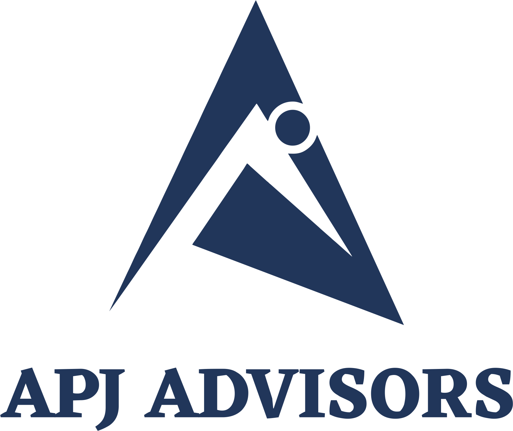 APJ Advisors